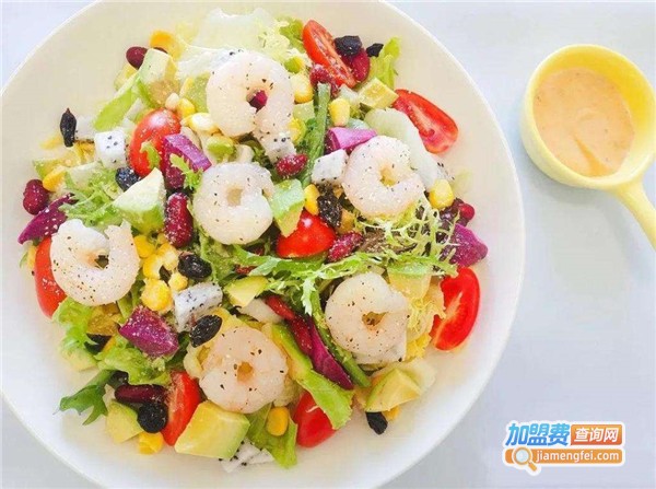 食兽派沙拉轻食加盟