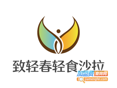 致轻春轻食沙拉