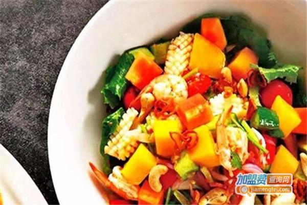 沙界萌新加盟费