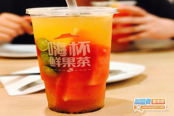 嗨杯鲜果茶加盟费