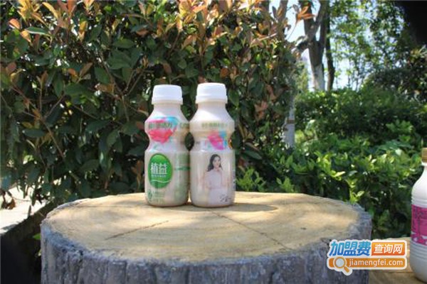 植益乳酸菌加盟费