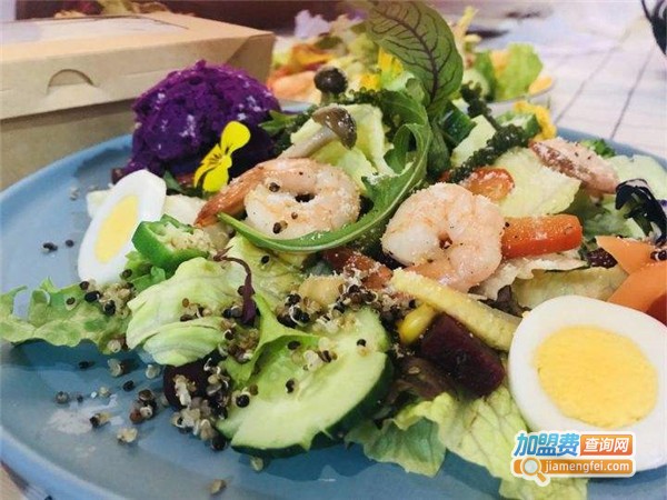 sunshine轻食沙拉加盟费