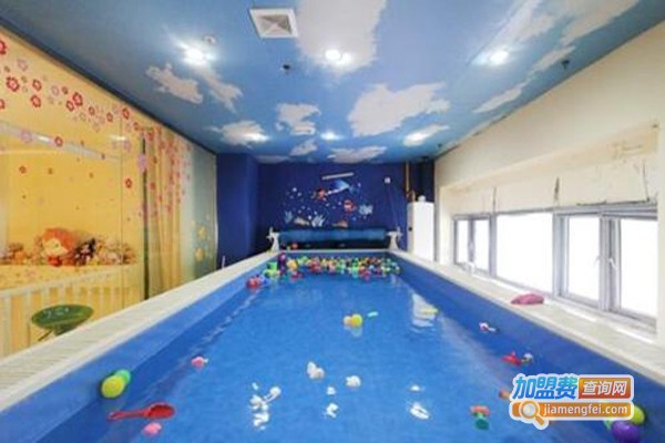 贝贝乐婴儿游泳馆加盟费