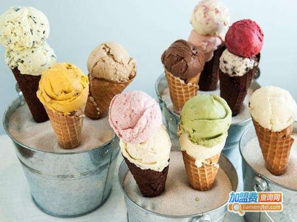 时尚冰淇淋店加盟费