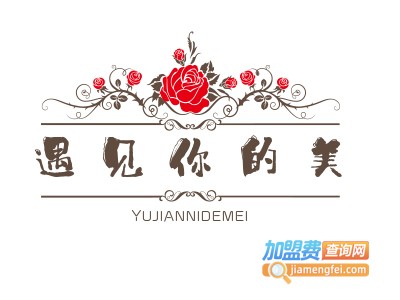 遇见你的美加盟费