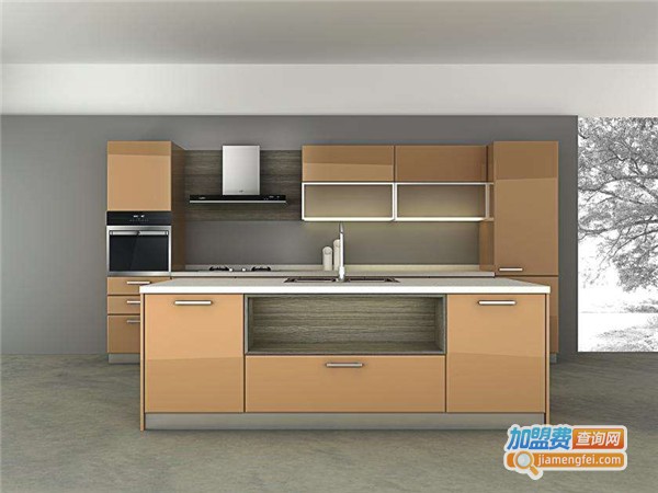 华帝整体橱柜加盟费