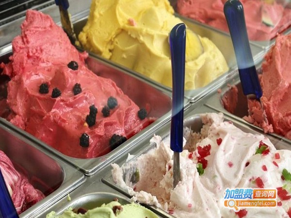 自助冰激凌加盟费