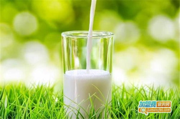 优品坊牛奶加盟费