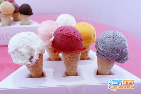自助冰淇淋连锁加盟费