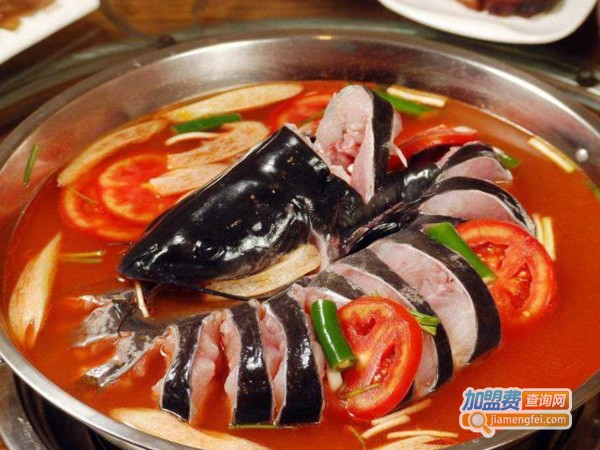 大骨爱上鱼加盟费