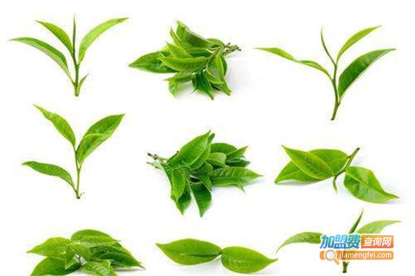 名新茶叶加盟费