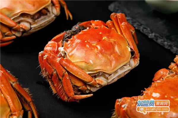 红膏大闸蟹加盟
