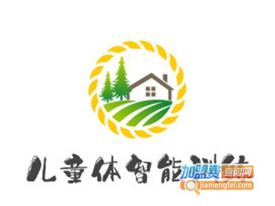 儿童体智能训练加盟费