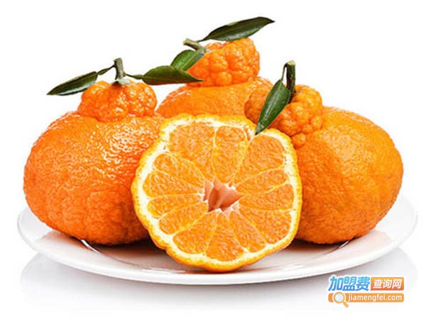 都知火果业加盟费