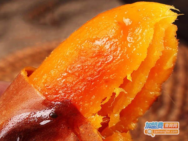 高山烤红薯加盟费