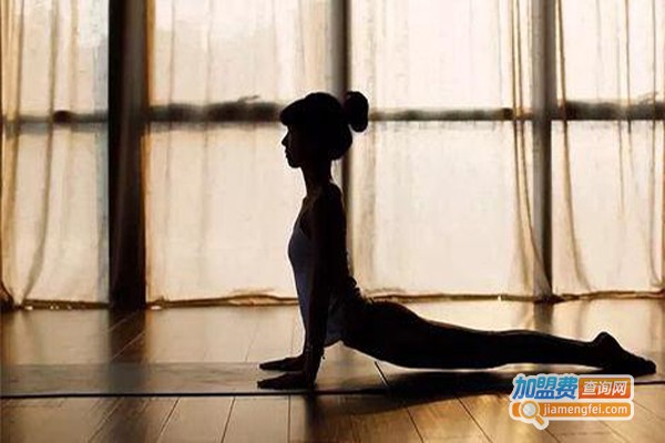 禅静瑜伽加盟费