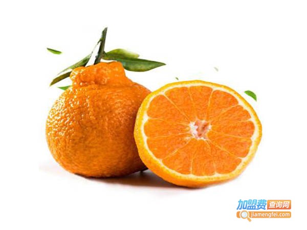 都知火果业加盟费