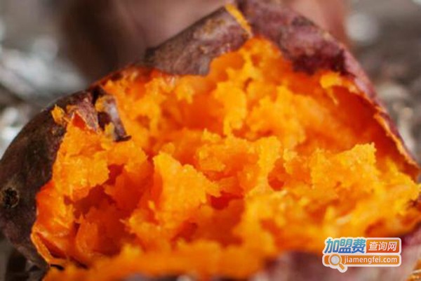 正宗烤地瓜加盟费