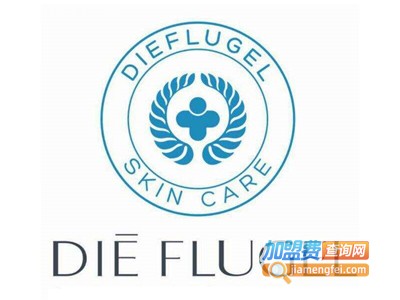 迪芙格加盟费
