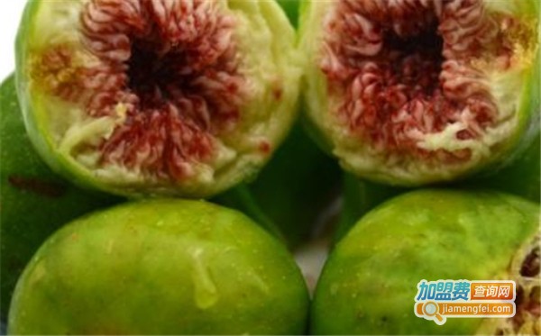 程果水果连锁店加盟费