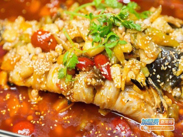 双鱼座纸包鱼加盟_开店加盟双鱼座纸包鱼创业赚钱！