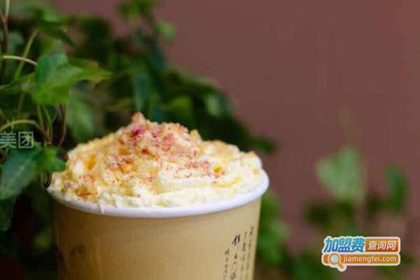 奈颜茶朵加盟费