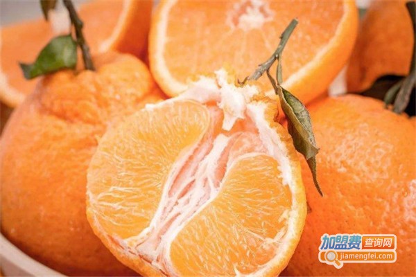 仙果园水果加盟费