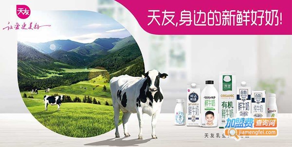 天友乳业加盟费是多少