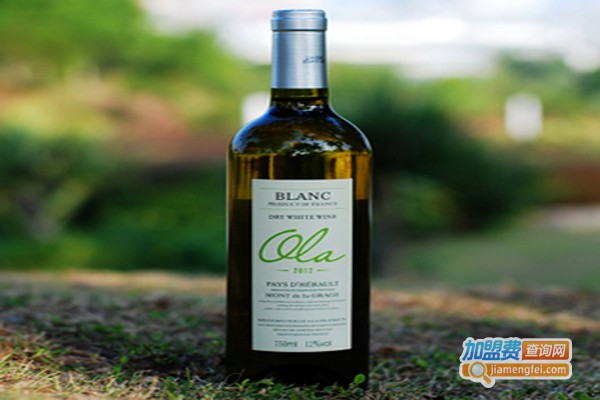 茉莉红酒折扣店加盟