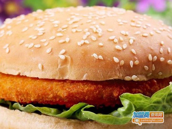 金粤尚汉堡加盟费