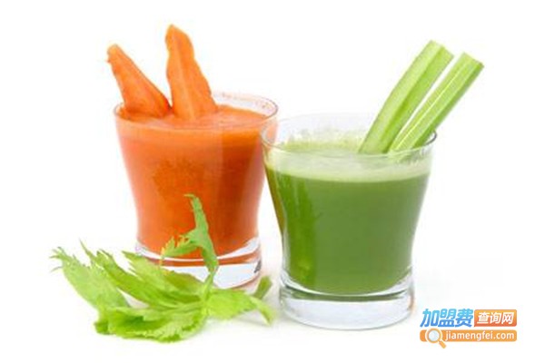 纤磁纤慧绿色减肥加盟费