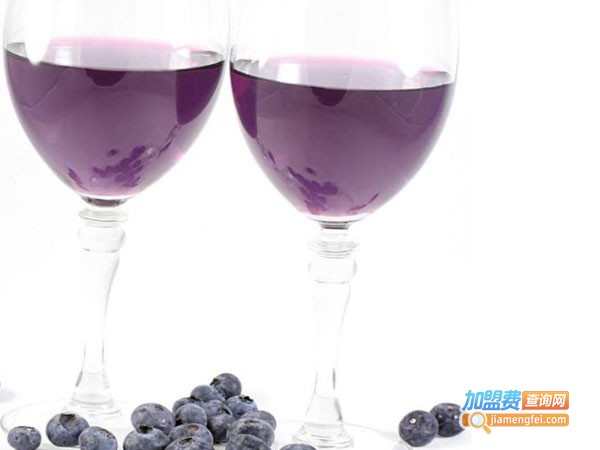 北极冰蓝莓酒庄加盟