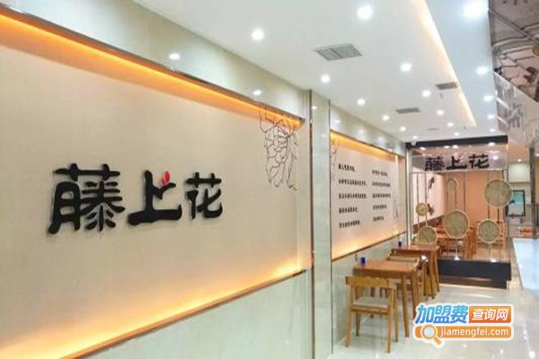 藤上花蒸包坊加盟费