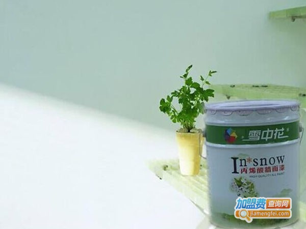 雪中花涂料加盟费