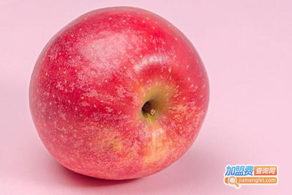 果乐多水果店加盟费