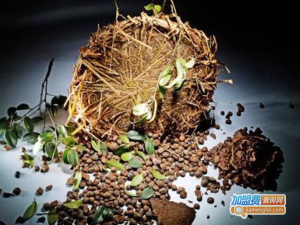 中药茶麸姜汁洗头加盟费