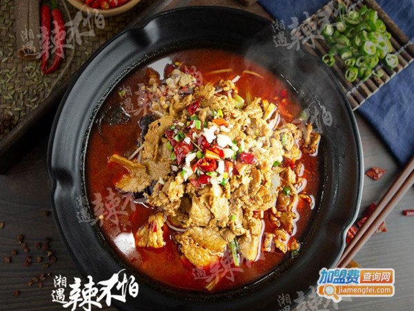 辛湘遇辣不怕加盟