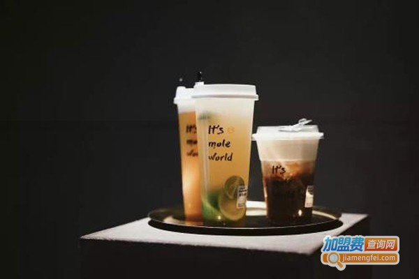 时茶奶茶加盟费