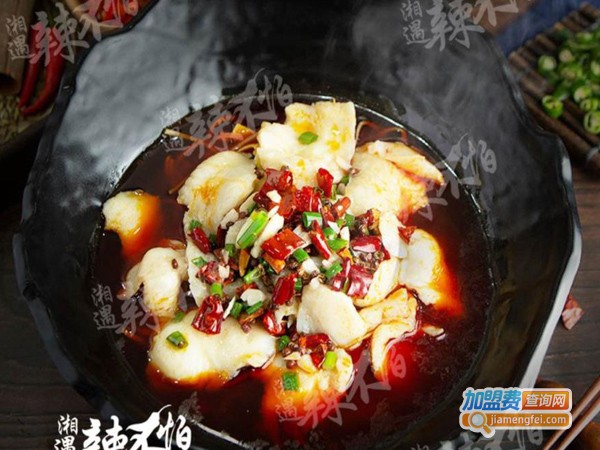 辛湘遇辣不怕加盟