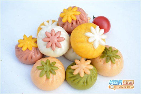 纯手工婴儿辅食加盟费