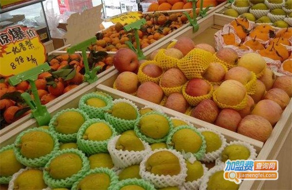 鲜果一家加盟费