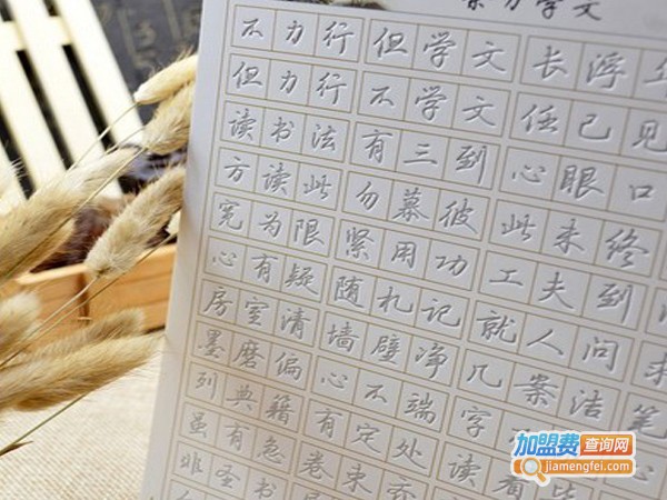 华德汇智魔法练字加盟费