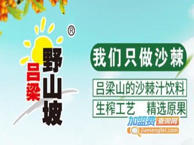 吕梁野山坡沙棘汁加盟费