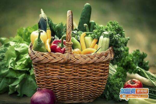 觅鲜优选加盟费