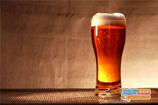 狐啤精酿加盟费