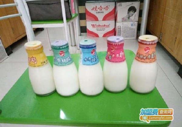 进口牛奶代理加盟费用