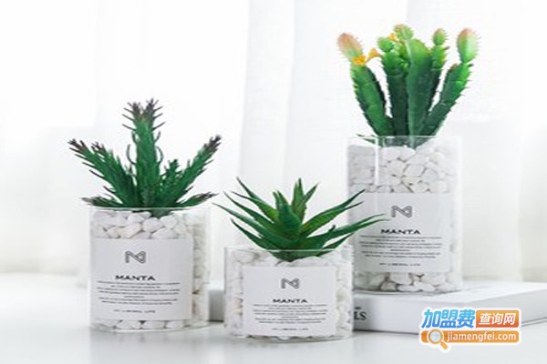 绿植护肤品加盟费