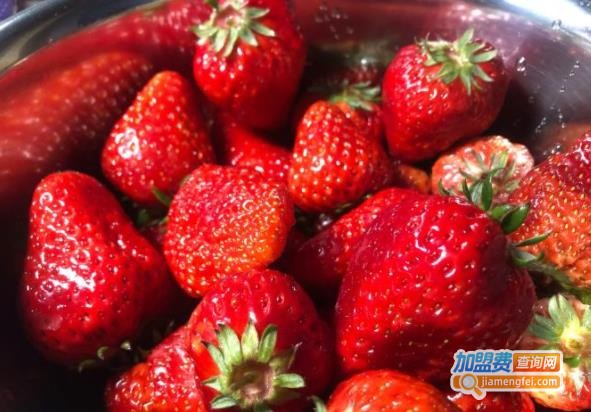 又又喜喜水果店加盟费