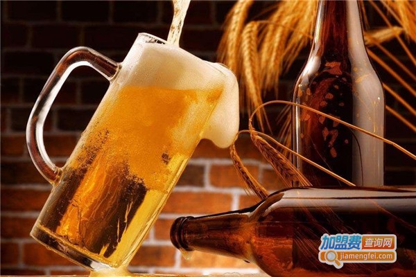 狐啤精酿加盟费