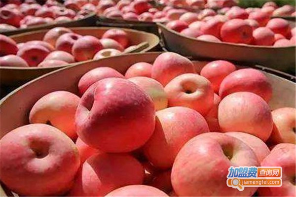 艺兴得果业加盟费